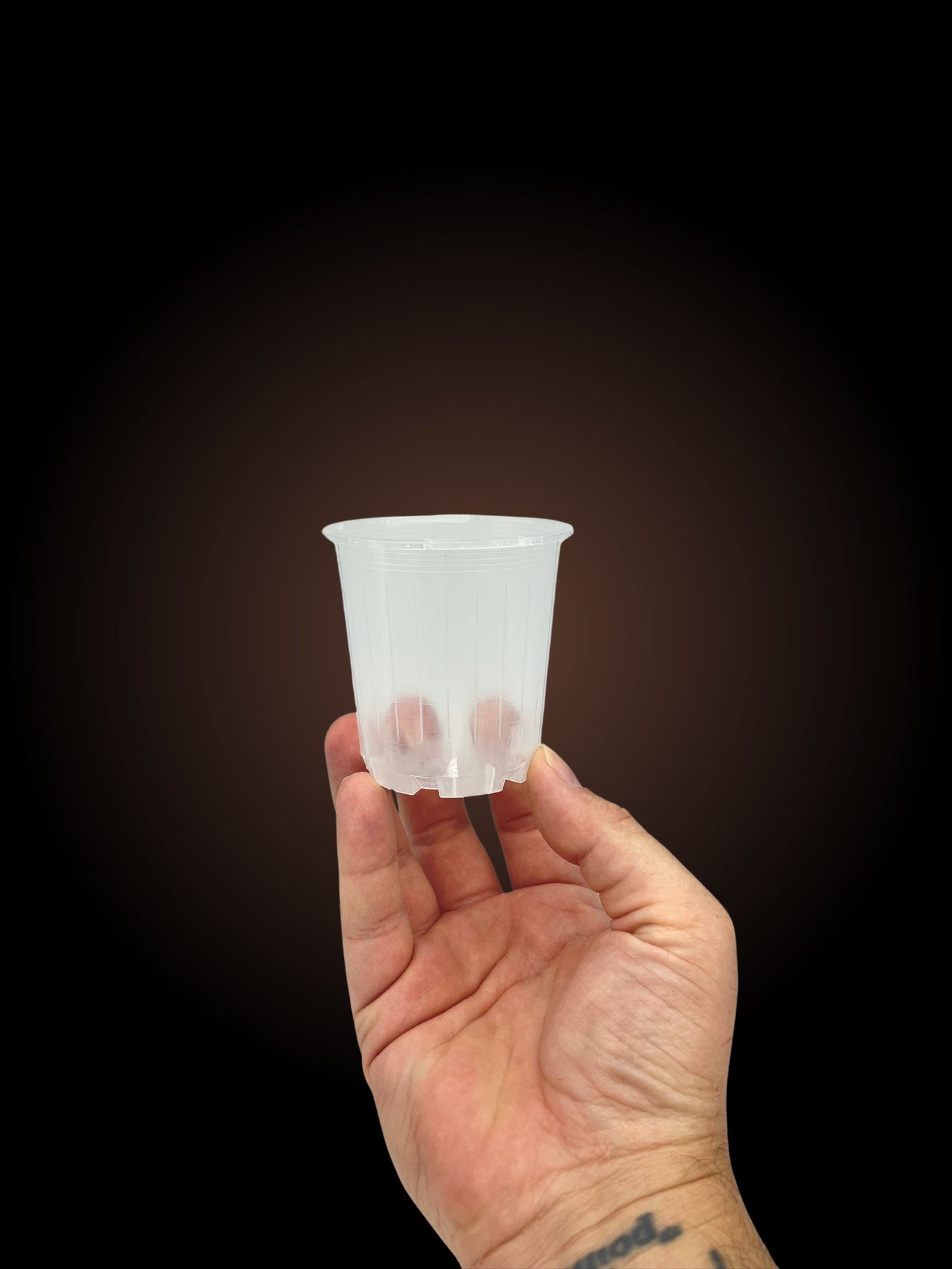 70mm Clear Plastic Pot